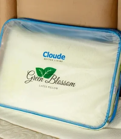 Green Blossom Pillow price in Nepal