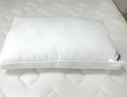 Buy Pillow In Nepal
